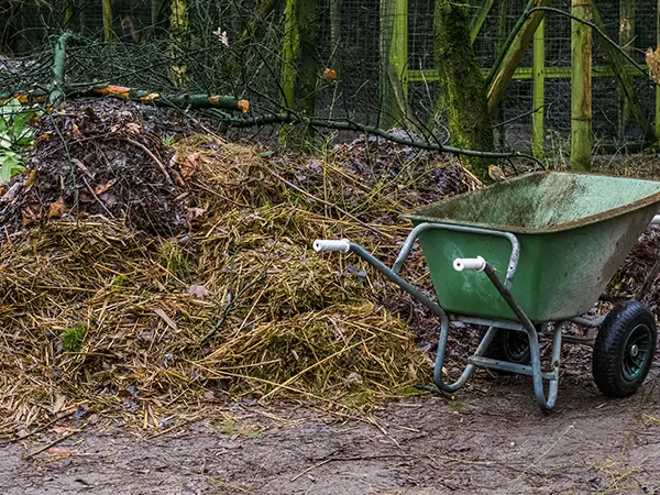 garden-waste